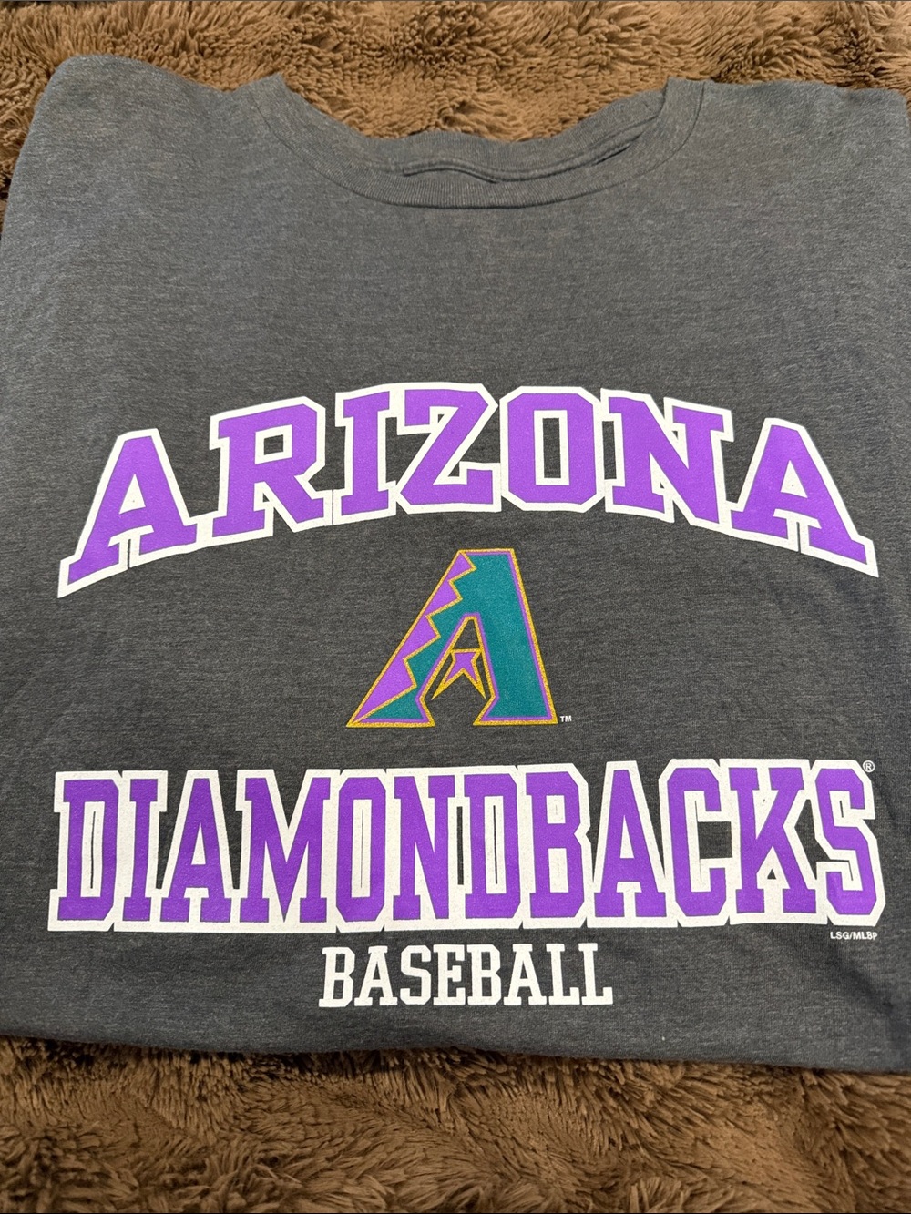 Arizona Diamondbacks Men's Short Sleeve Tee - Gray